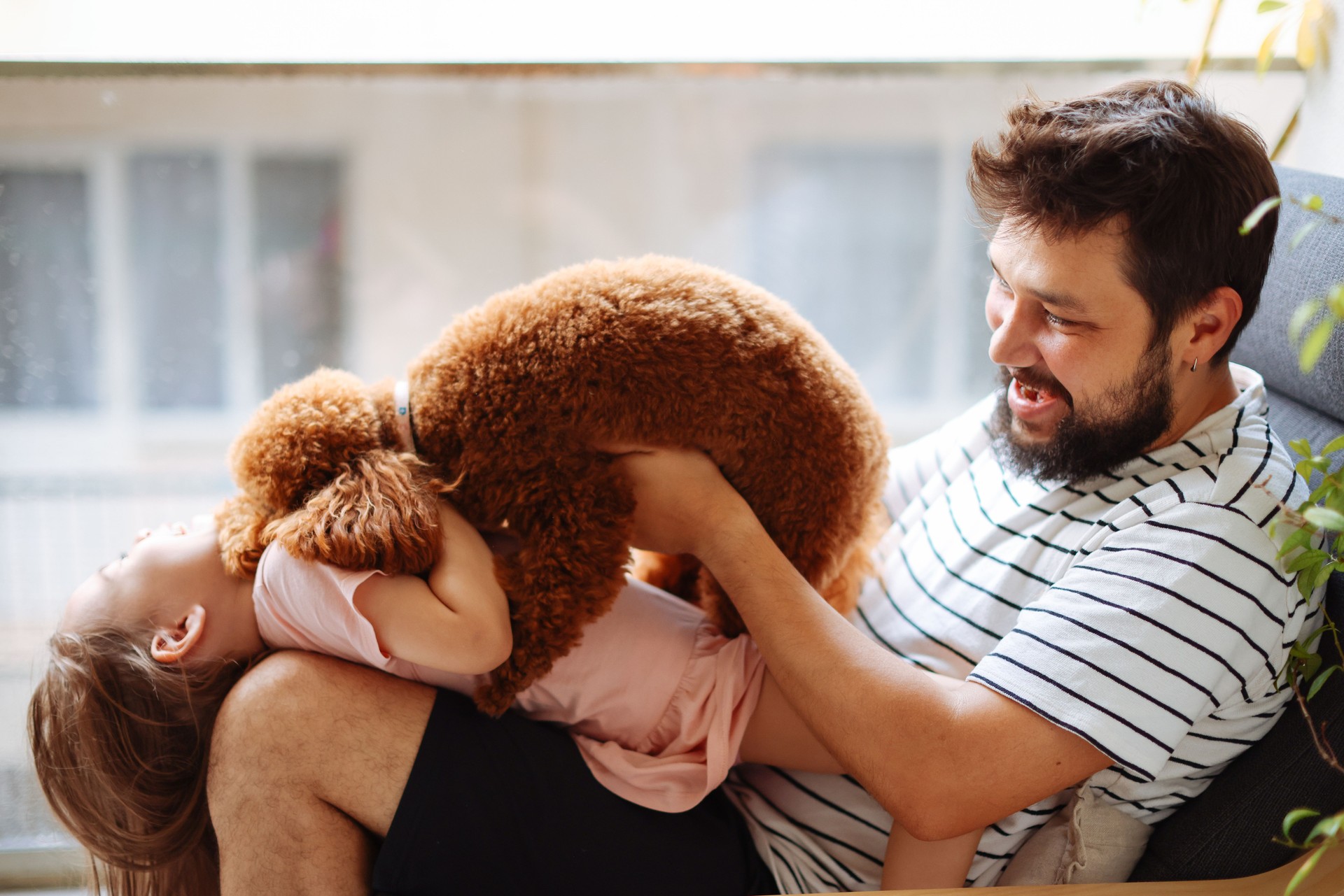 Happy father and daughter having fun with their toy poodle on the sofa